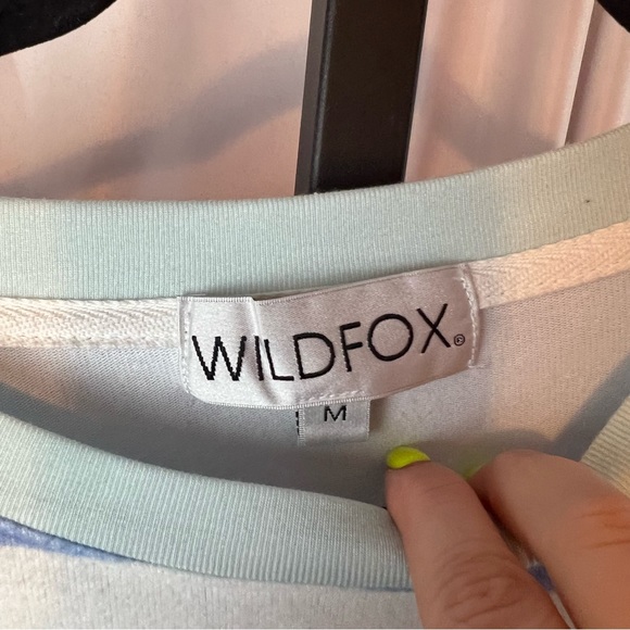 Wildfox Pool Stripes Roadtrip Long Sleeve Sweatshirt, size Medium - Picture 3 of 7